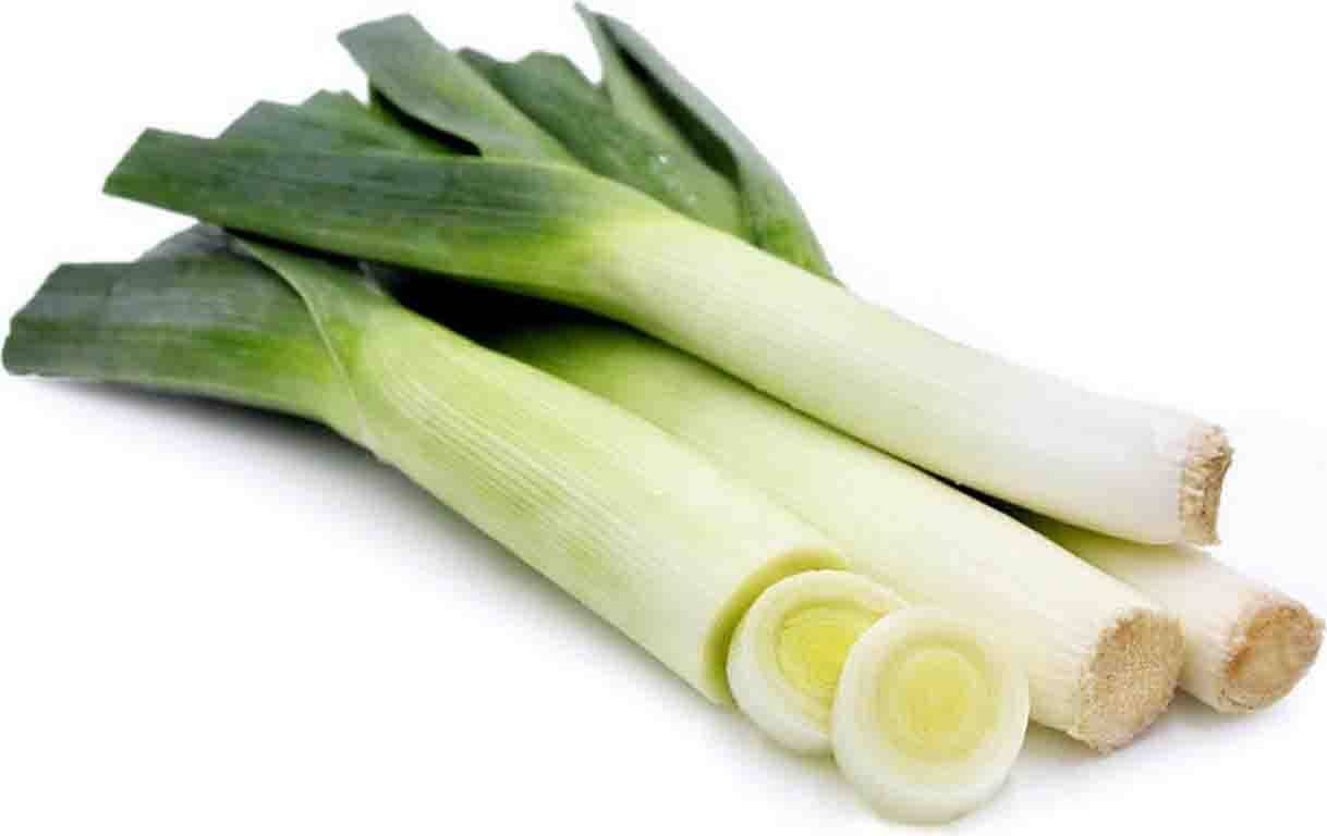 Leek Holland