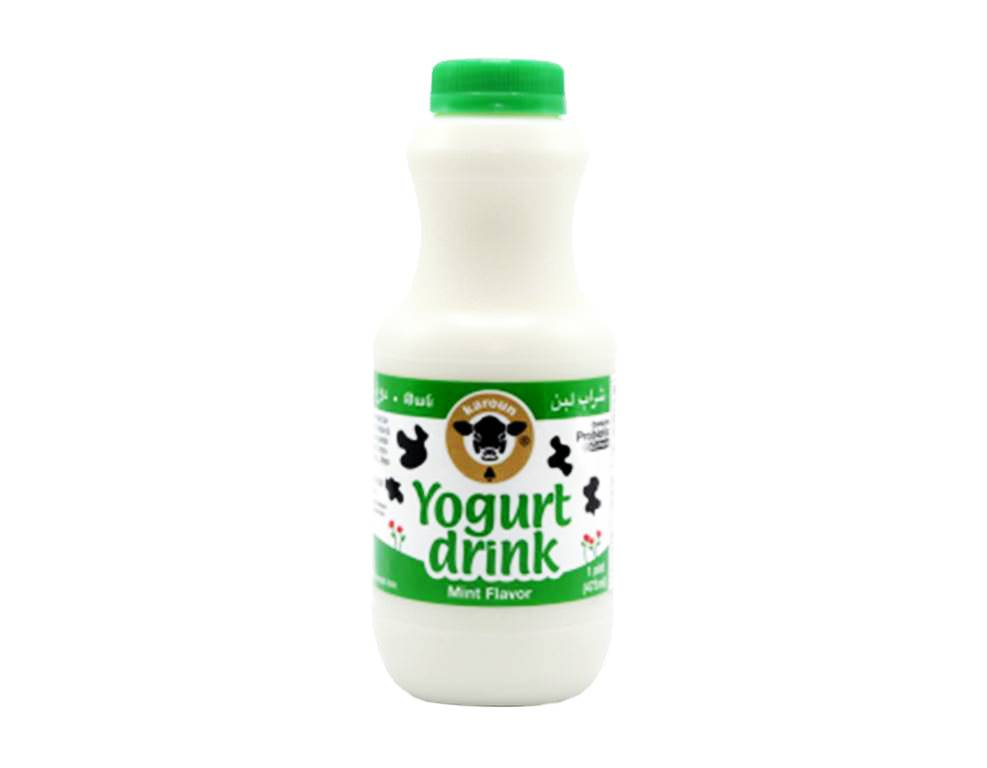 Karoun Yogurt Drink With Mint, 16 Oz.