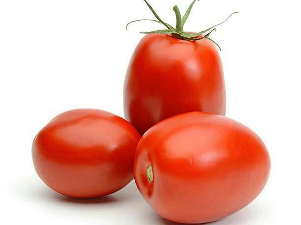 Plum Tomato (RomaTomato)