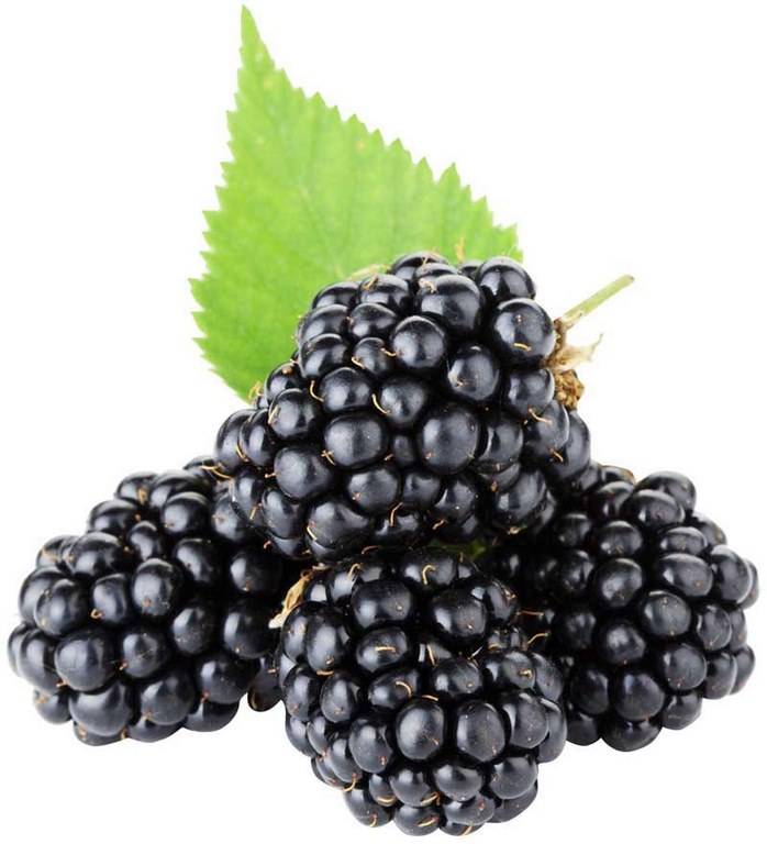 Raspberry, Black