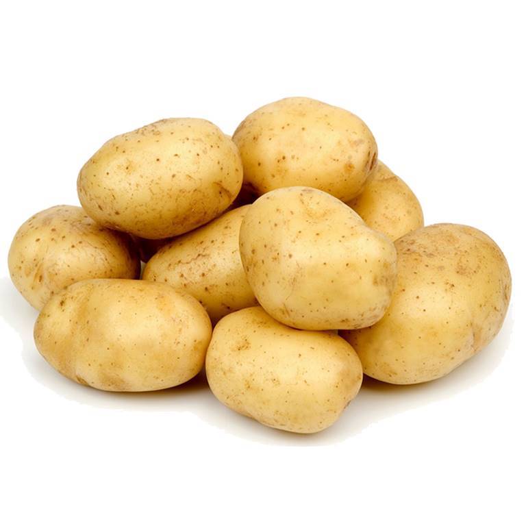 Potato