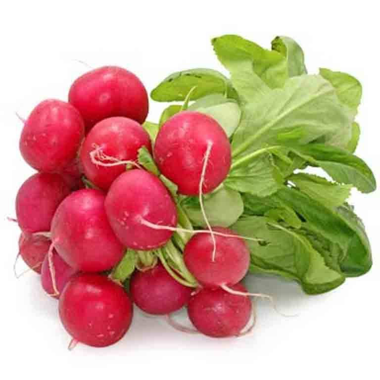 Radish