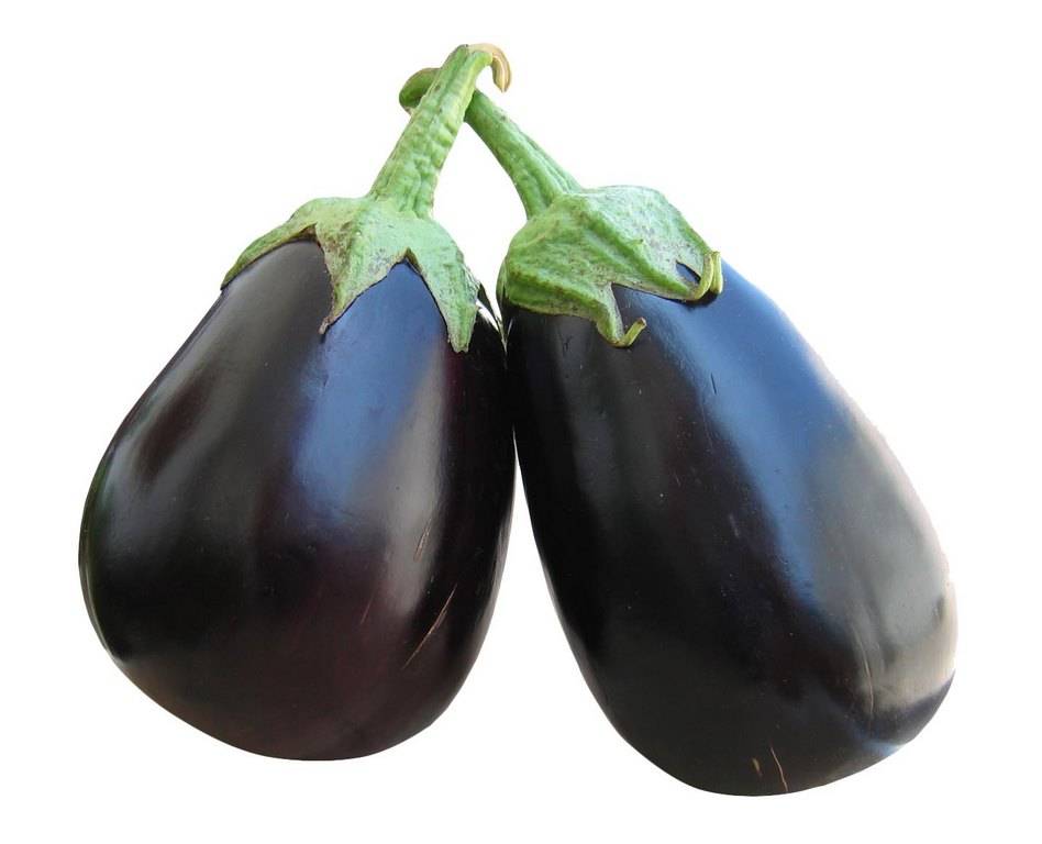 Italian Eggplant