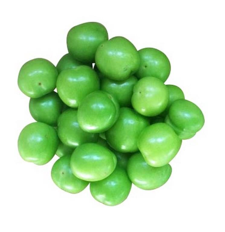 Sour Plums.(Seasons)