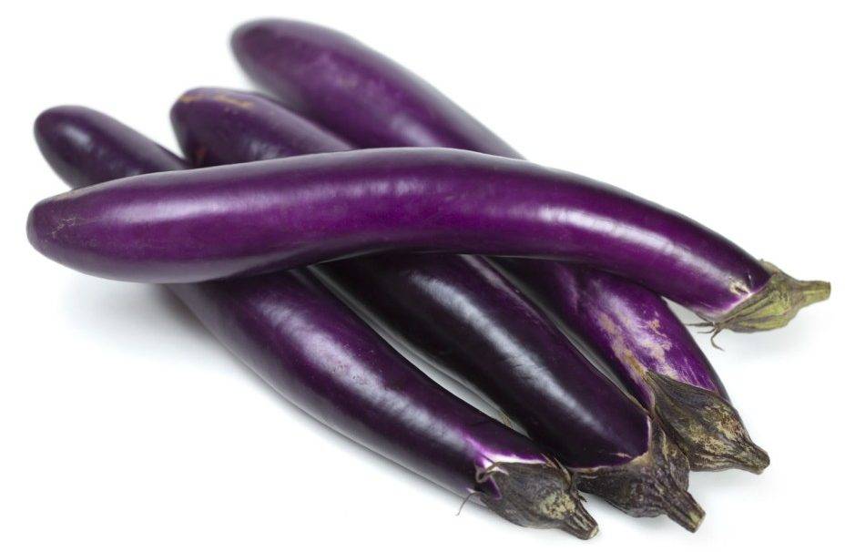 Chinese Eggplant