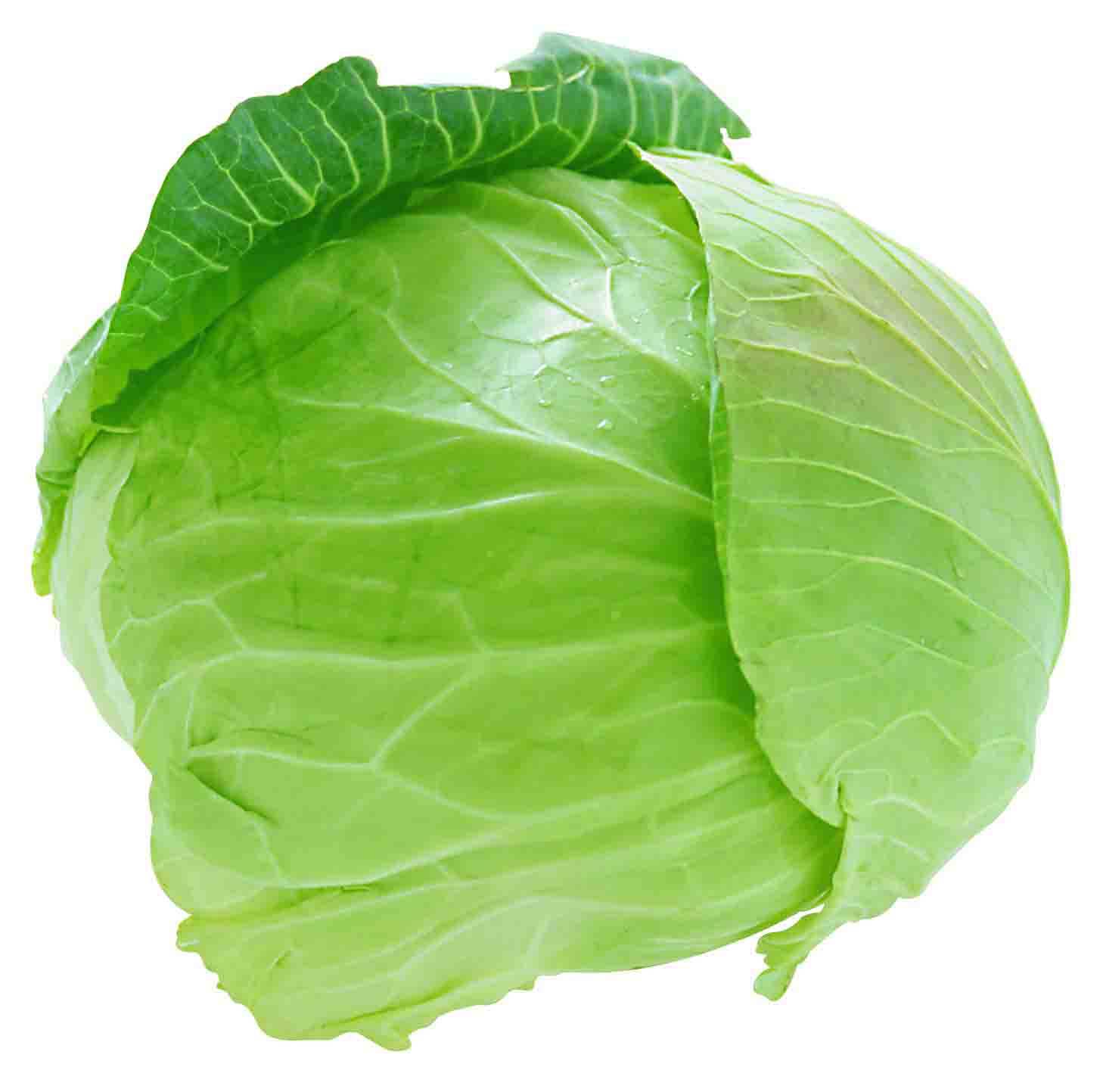 Cabbage