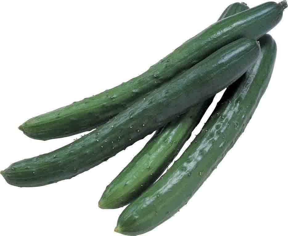 English Cucumber