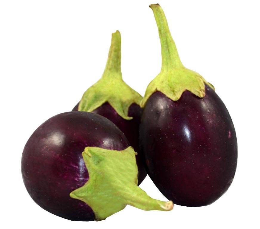 Indian Eggplant