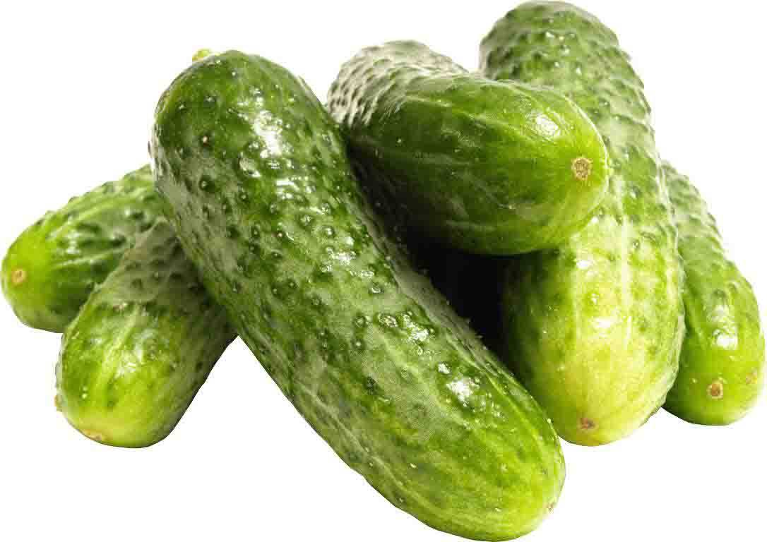 Kirby Cucumber