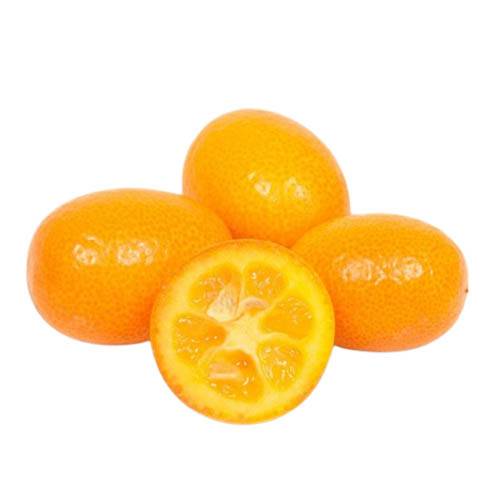 Kumquats