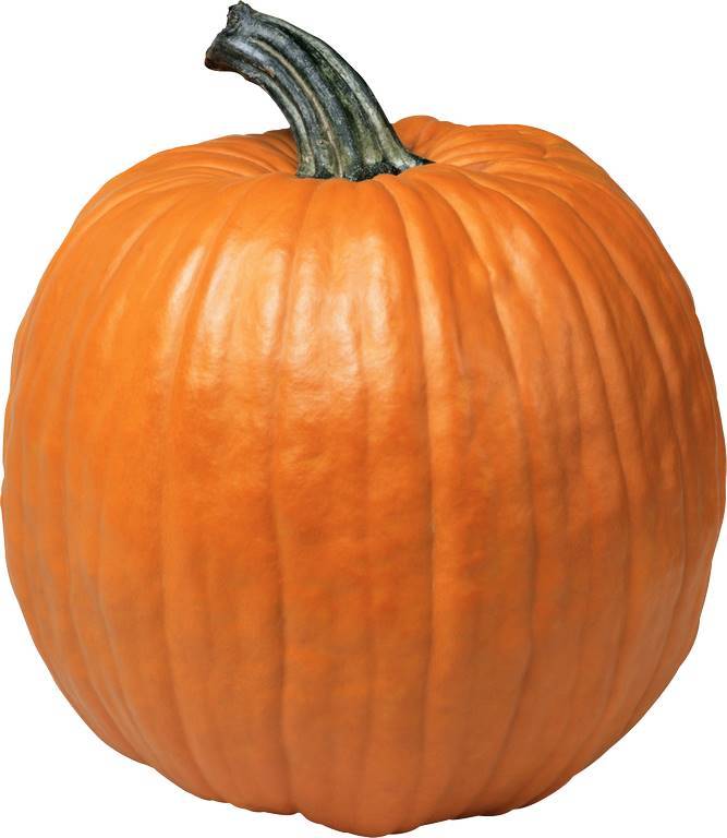 Pumpkin