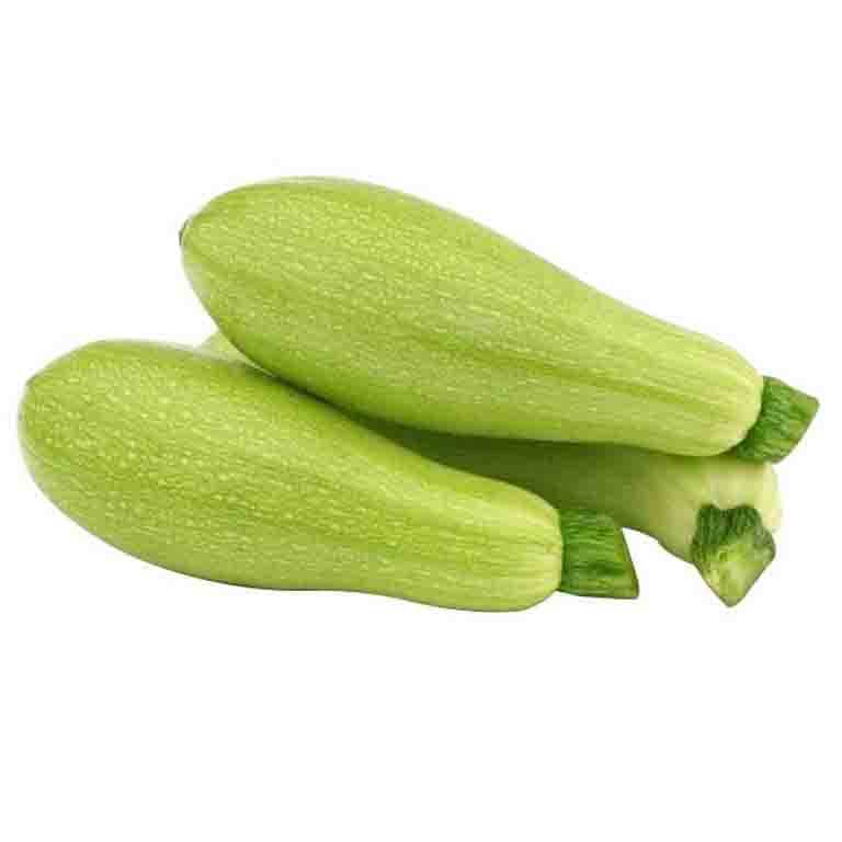 Zucchini (Cousa Squash)