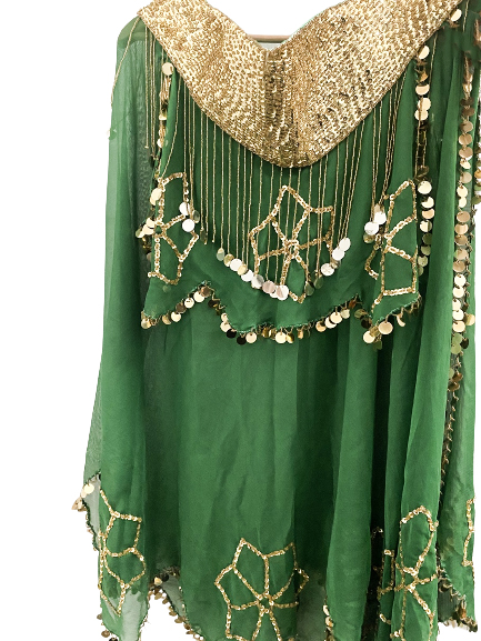 Belly Dance Costume for Women (Skirt-Top) Irregular Ruffle Outfit (Green x Gold)