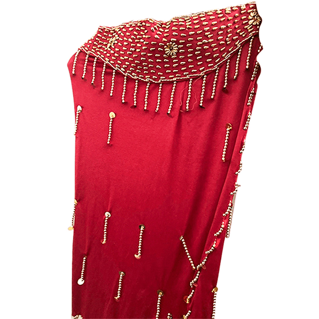 Belly Dance Costume for Women (Skirt-Top) Irregular Ruffle Outfit (Red x Gold)