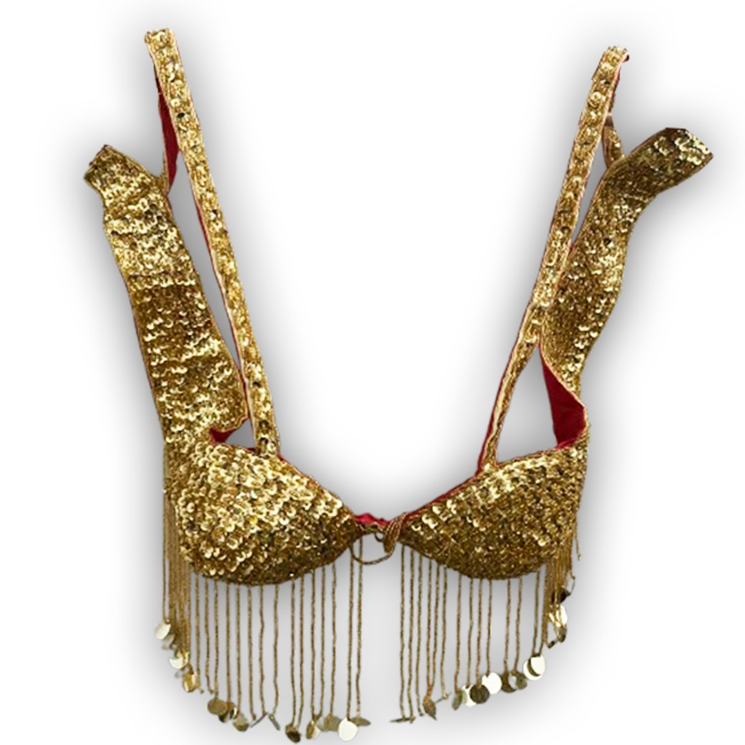 Belly Dance Costume for Women (Skirt-Top) Irregular Ruffle Outfit Red and Gold