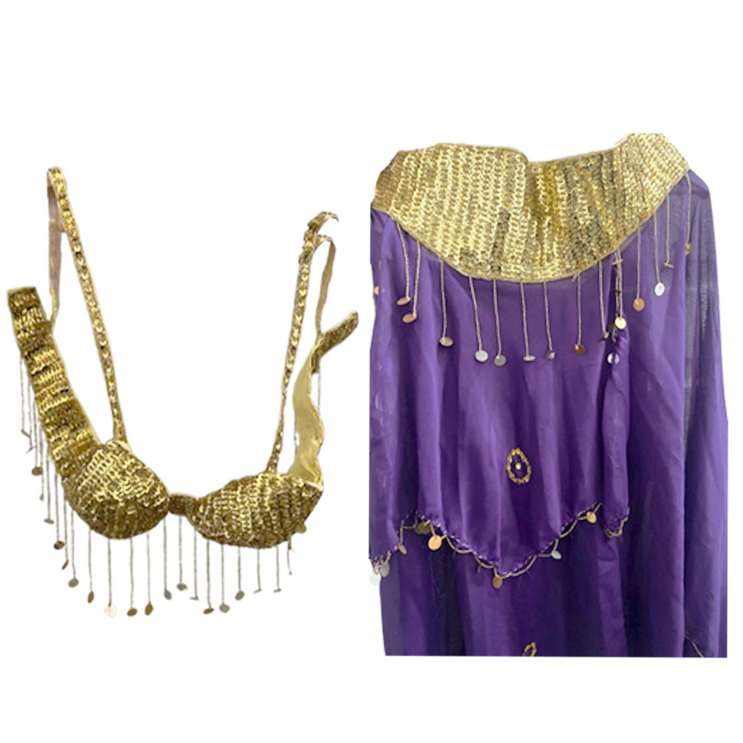 Belly Dance Costume for Women (Skirt-Top) Irregular Ruffle Outfit (Purple x Gold)