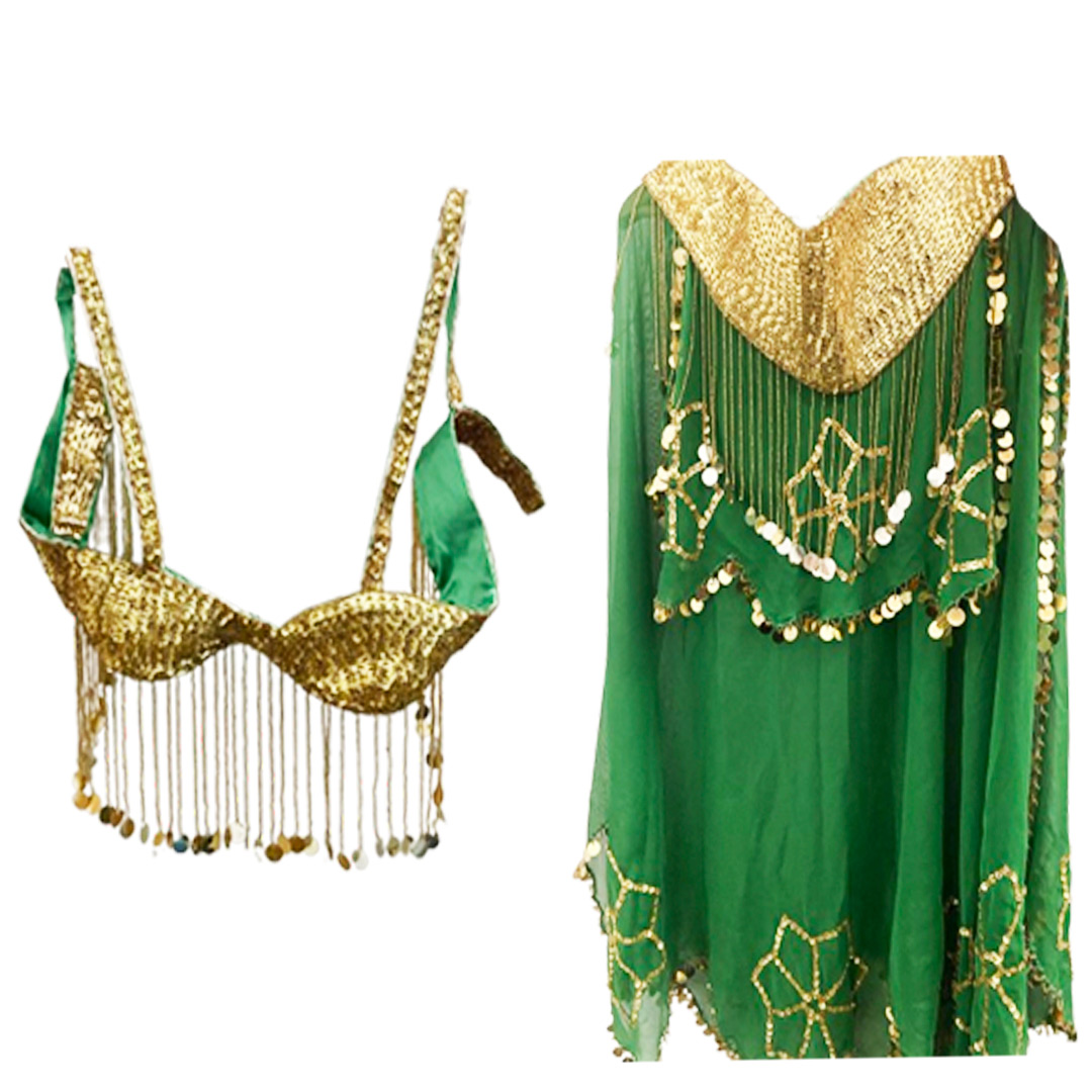 Belly Dance Costume for Women (Skirt-Top) Irregular Ruffle Outfit (Green x Gold)