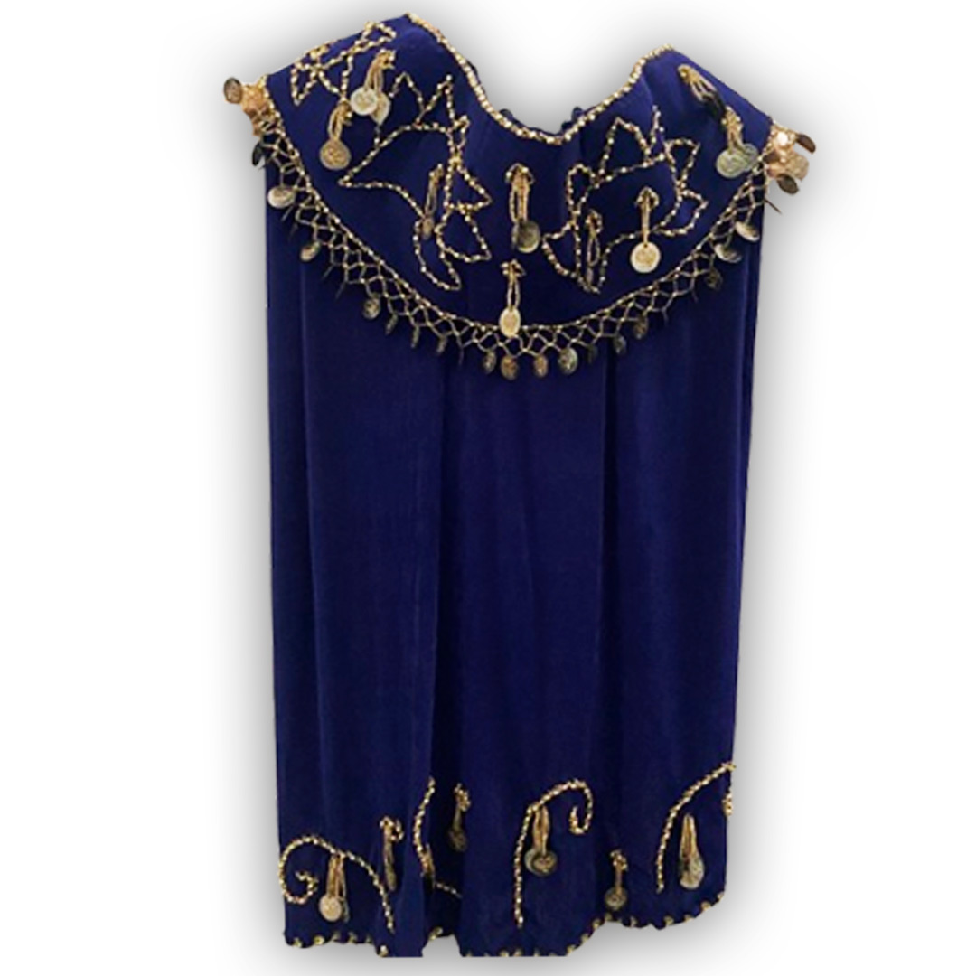 Belly Dance Costume for Women (Skirt-Top) Irregular Ruffle Outfit (Dark Blue x Gold)