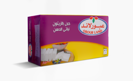 Feta Cheese with Olive (Vegetable Fat) 500gm