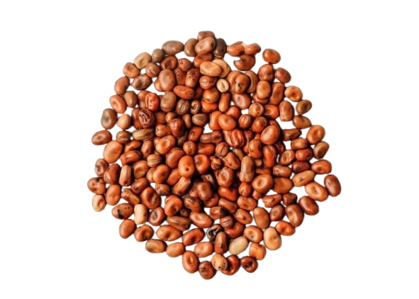 Fava Beans - Mini Whole, 50 Lbs.