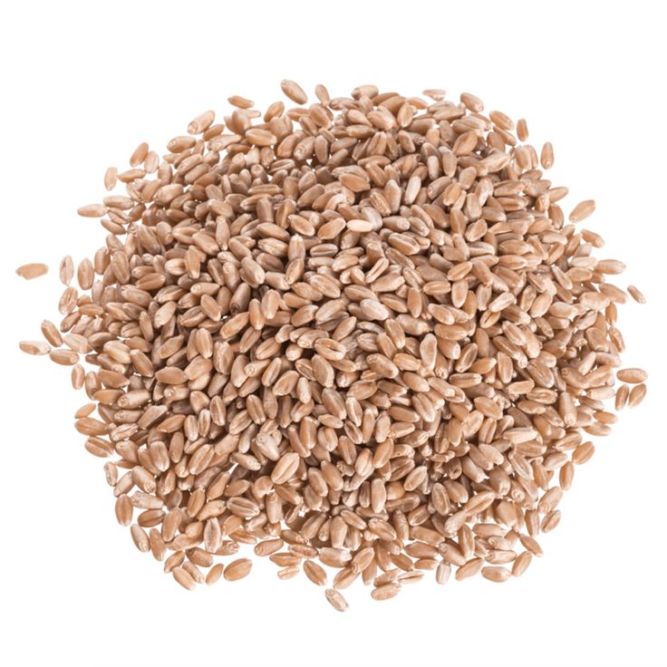 Sunnyland Whole Wheat, 50 Lbs.