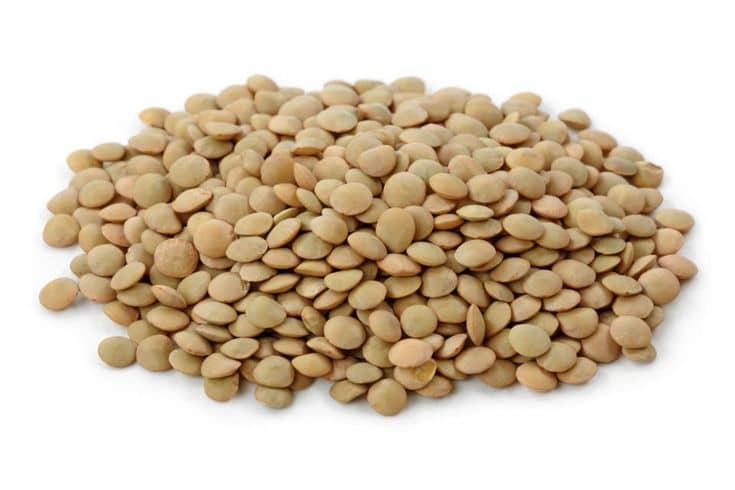 SHAMRA Crimson Whole Red Lentils, 50 Lbs.