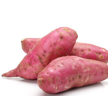 Sweet Potato