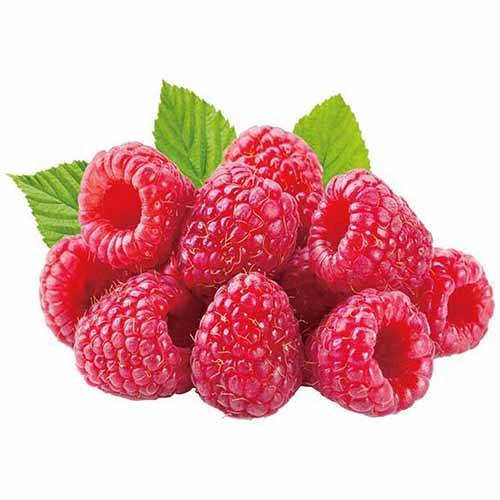 Raspberry