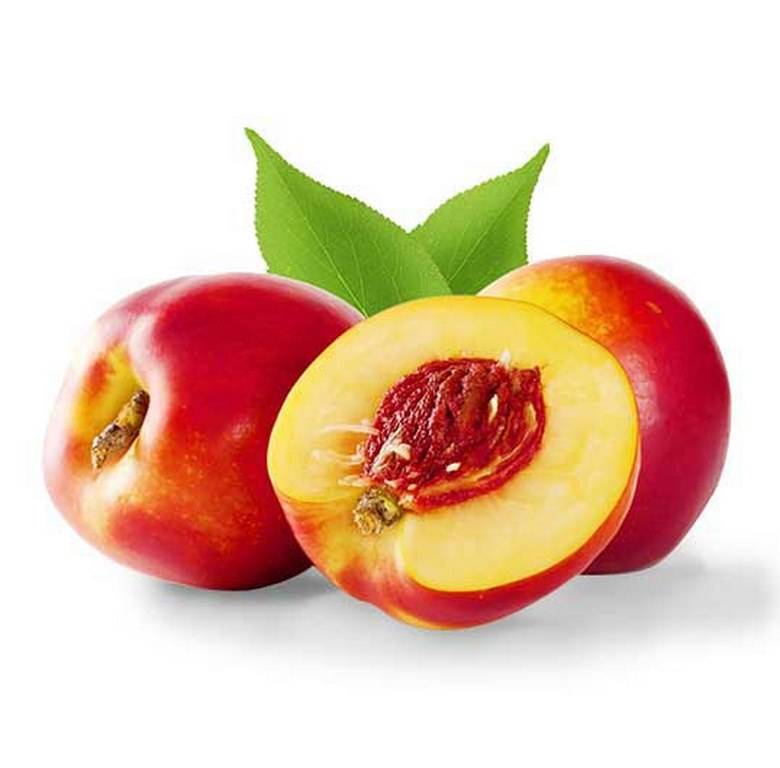 Nectarine, California